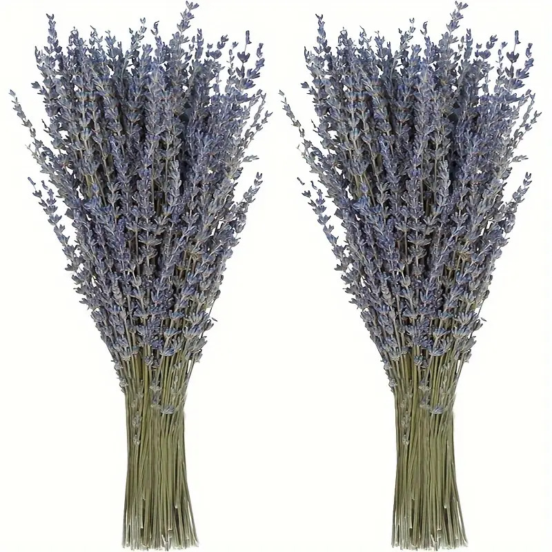 Dried Flower Bunch - 200 stuks/bundel gedroogde lavendelbloemen voor thuis,