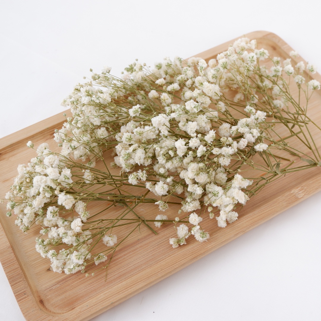 Baby Breath Dried - Gedroogde bloemen Witte Mini Gedroogde Babys