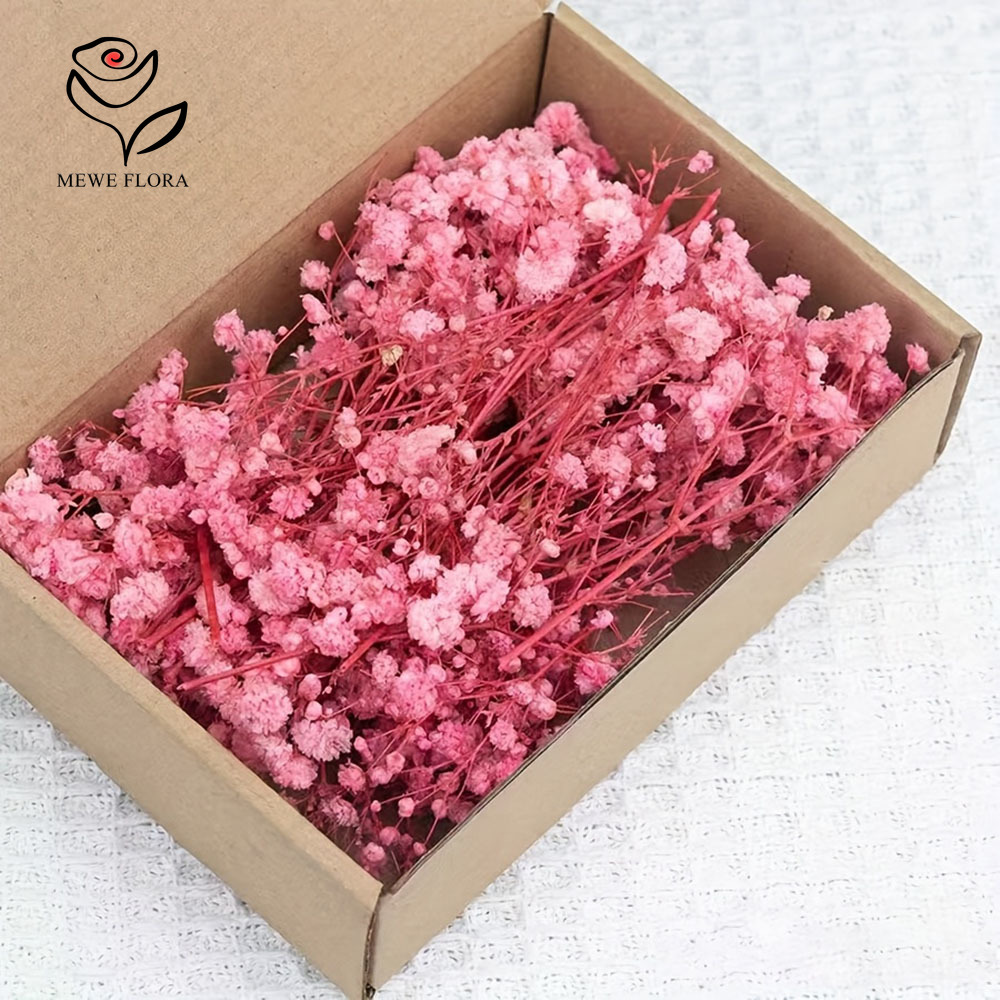 Baby Breath Dried - 100% kleine tak gedroogde gipskruid bloemen