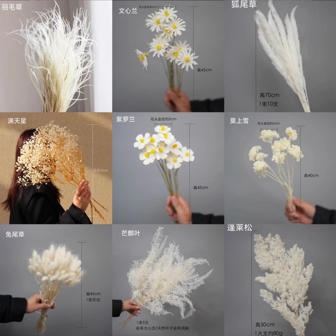 Baby Breath Dried - Ins-stijl zachte huisdecoratie bruiloft achtergrond gedroogde
