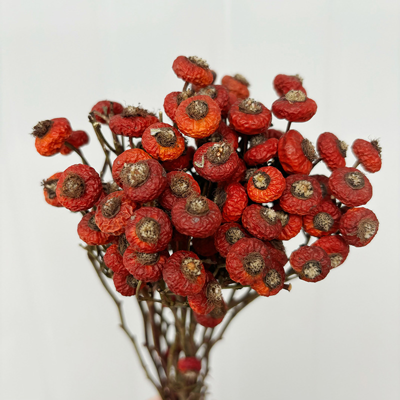 10 stuks/bundel gedroogde roze - Dried Flower Bunch recensie en prijs