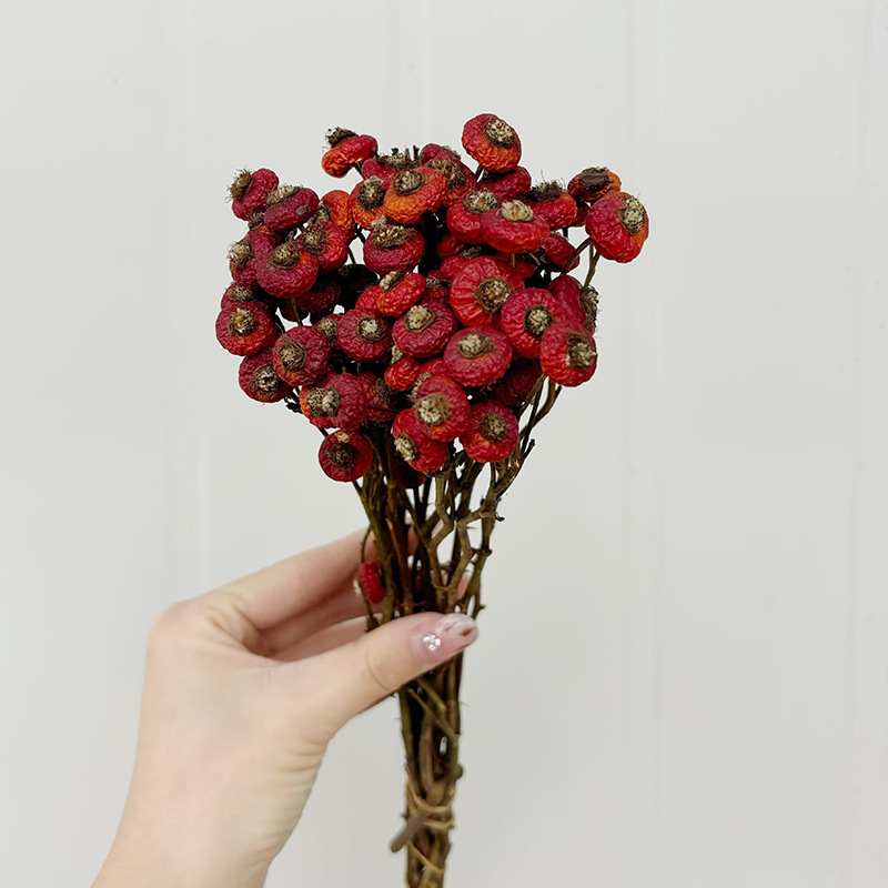 10 stuks/bundel gedroogde roze - Dried Flower Bunch recensie en prijs