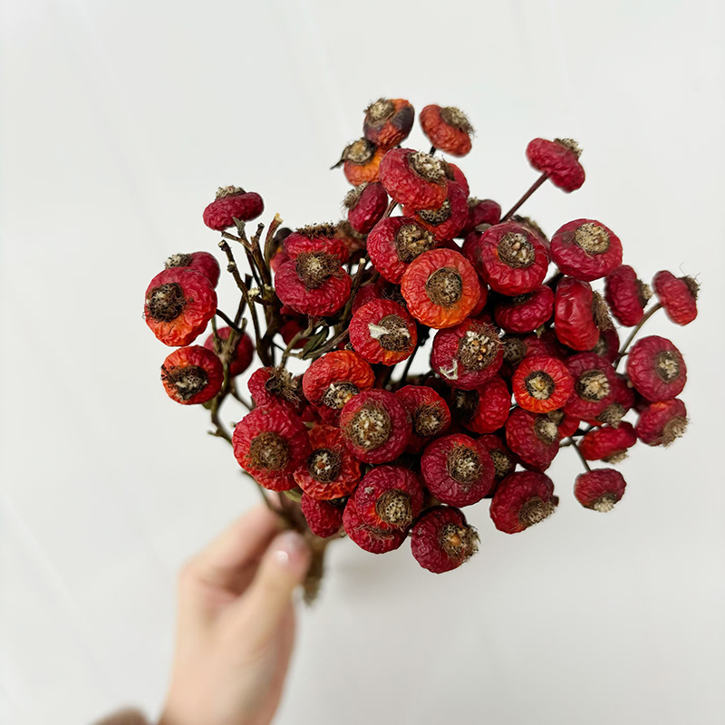 10 stuks/bundel gedroogde roze - Dried Flower Bunch recensie en prijs