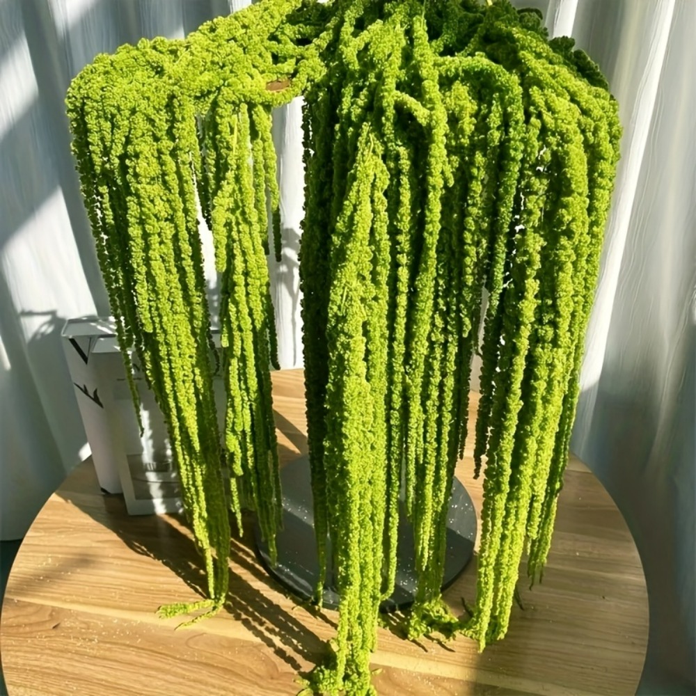4-delige set kunstmatige amara - Preserved Moss Sheet recensie en prijs