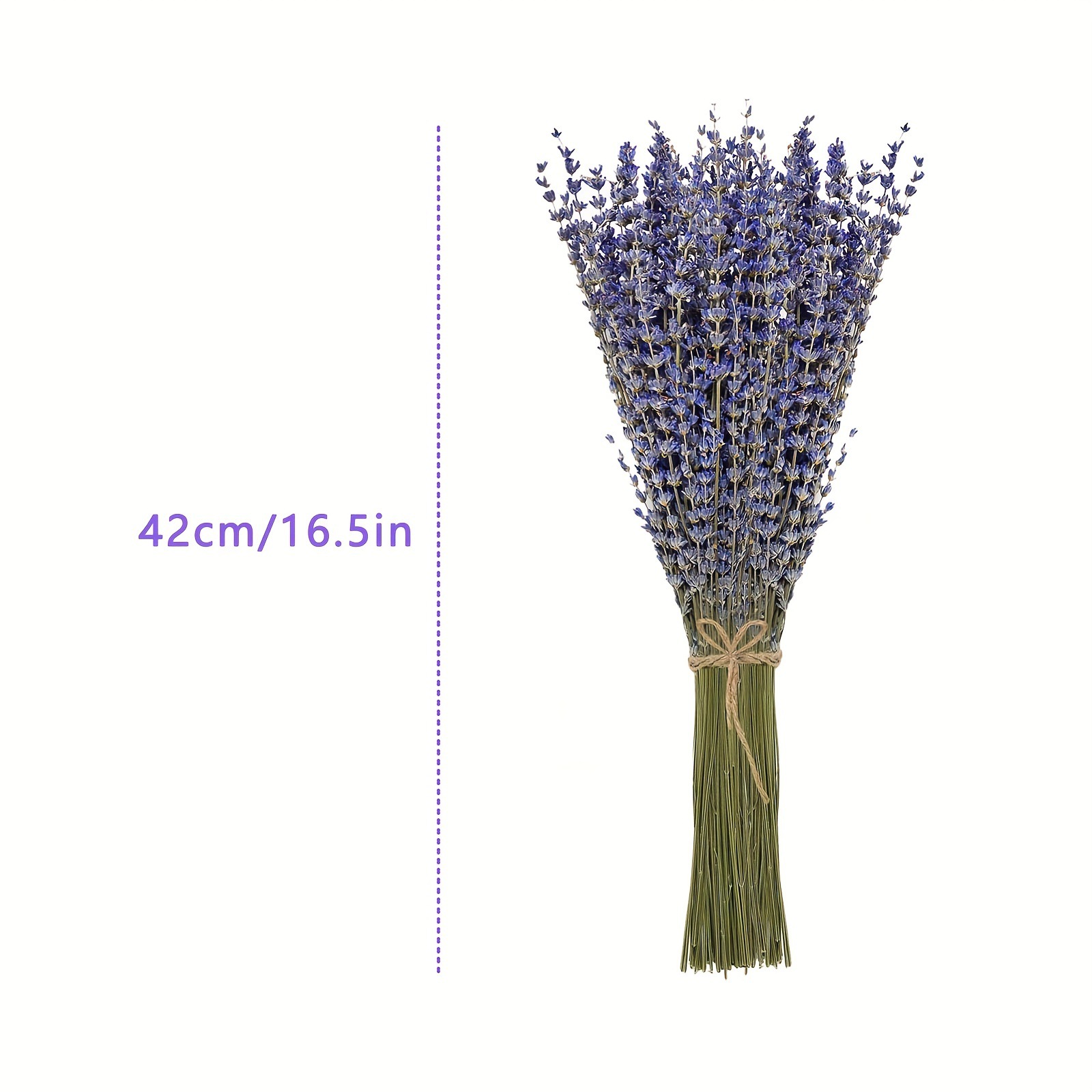 200 stuks/bundel gedroogde lav - Dried Flower Bunch recensie en prijs