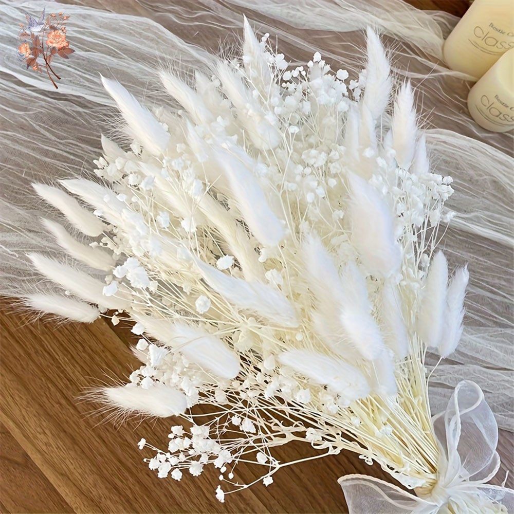 54 Stuks Witte Gedroogde Bloem - Dried Flower Bunch recensie en prijs
