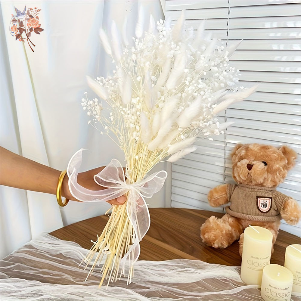 54 Stuks Witte Gedroogde Bloem - Dried Flower Bunch recensie en prijs