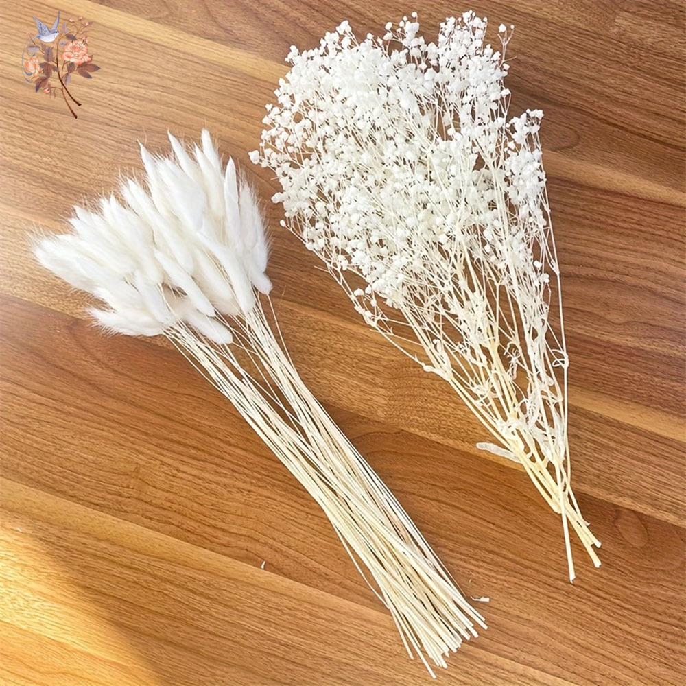 54 Stuks Witte Gedroogde Bloem - Dried Flower Bunch recensie en prijs