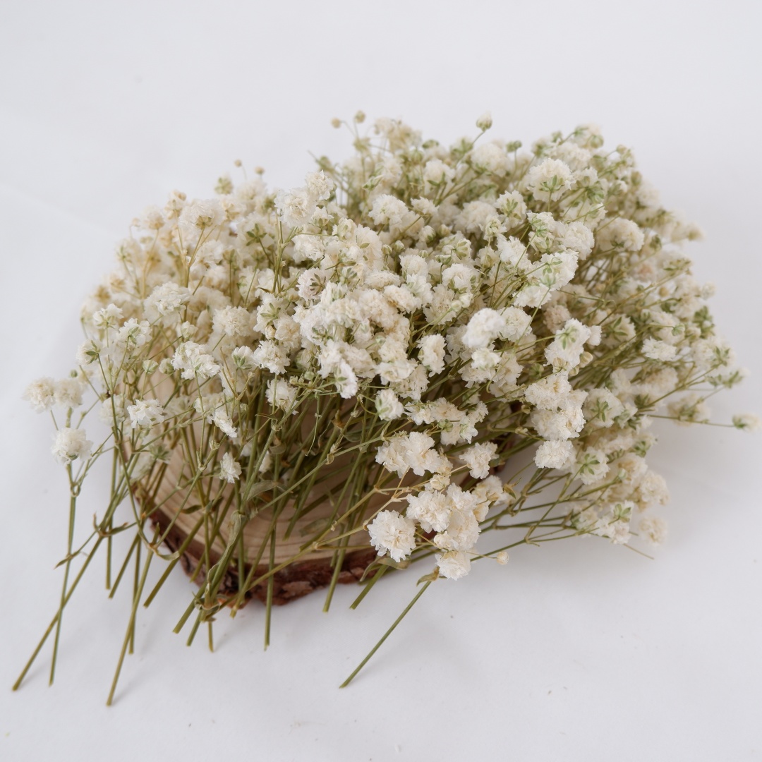 Gedroogde bloemen Witte Mini G - Baby Breath Dried recensie en prijs
