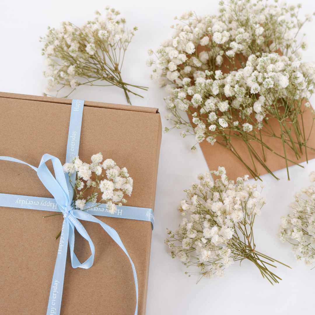 Gedroogde bloemen Witte Mini G - Baby Breath Dried recensie en prijs