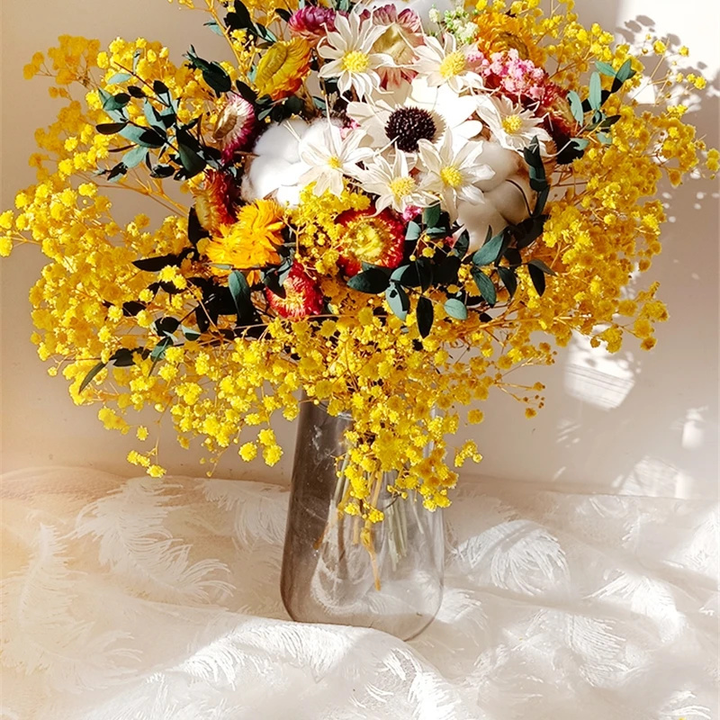 Natuurlijke Gedroogde Bloem Gy - Baby Breath Dried recensie en prijs