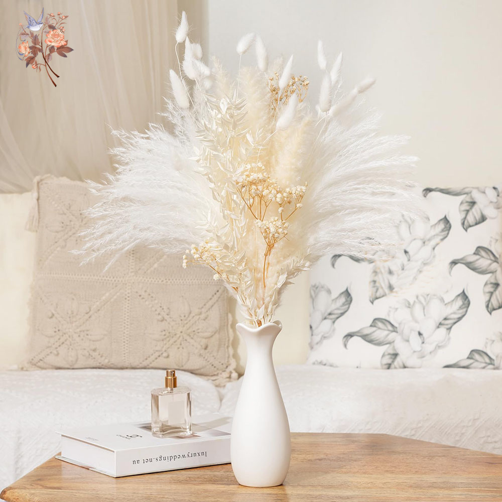 40 stuks witte natuurlijke ged - Baby Breath Dried recensie en prijs