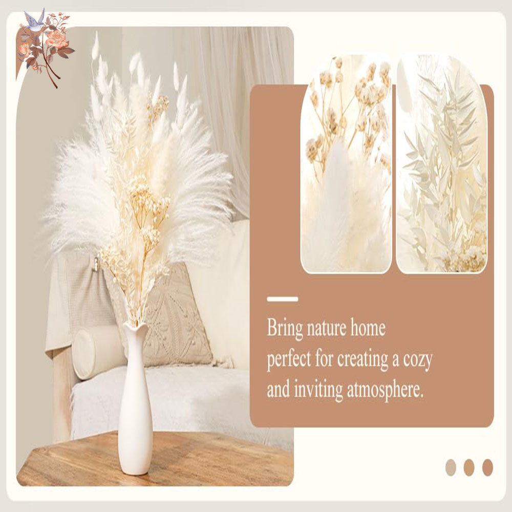 40 stuks witte natuurlijke ged - Baby Breath Dried recensie en prijs