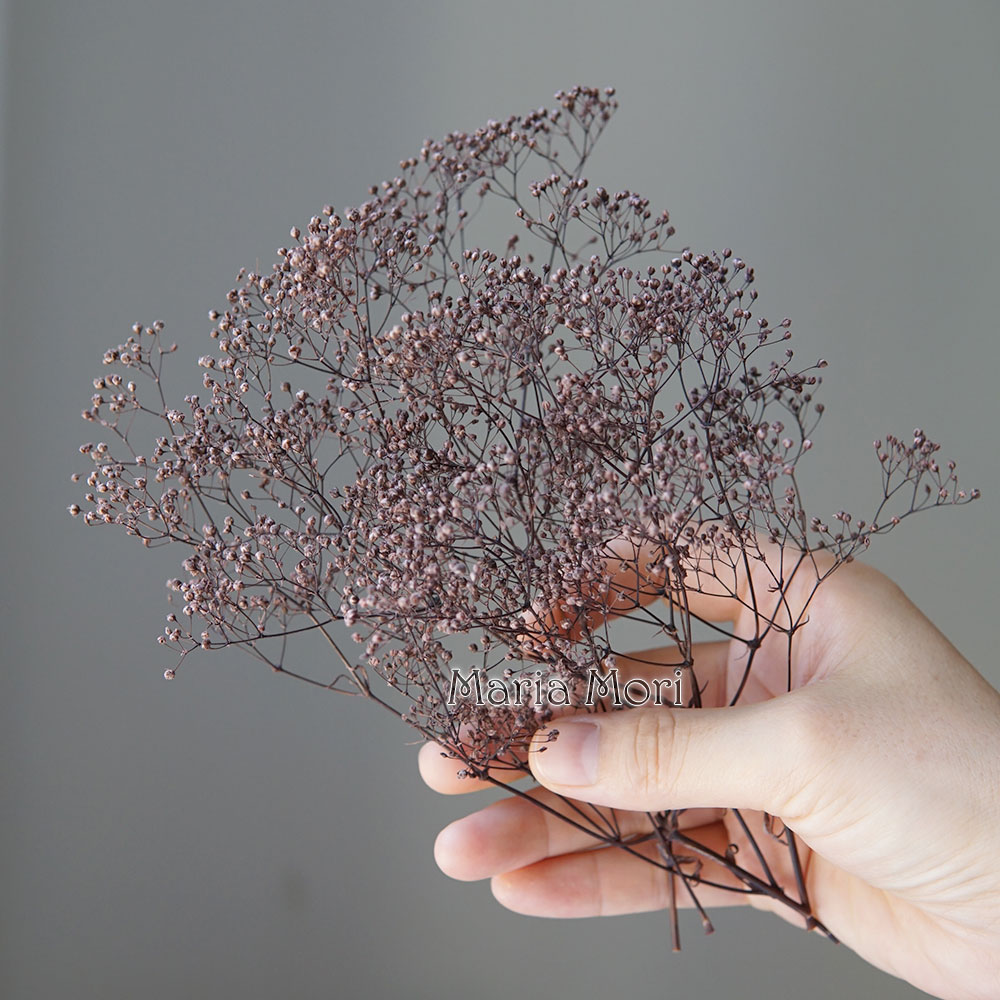 5g/Mini Baby Adem Gedroogde Be - Baby Breath Dried recensie en prijs