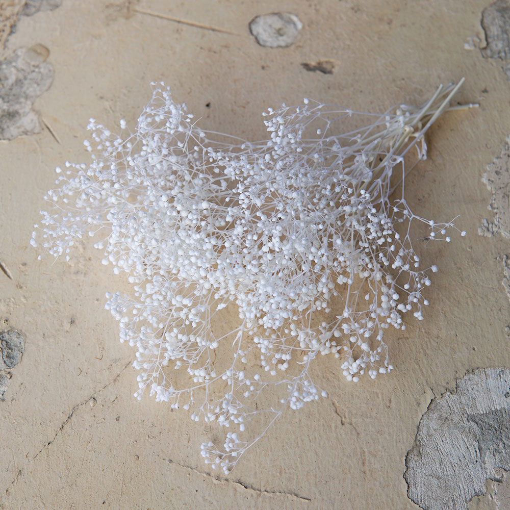 5g/Mini Baby Adem Gedroogde Be - Baby Breath Dried recensie en prijs