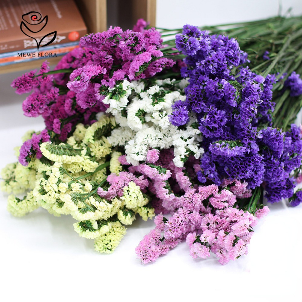 100G Gedroogd Vergeet Me Niet  - Dried Flower Bunch recensie en prijs