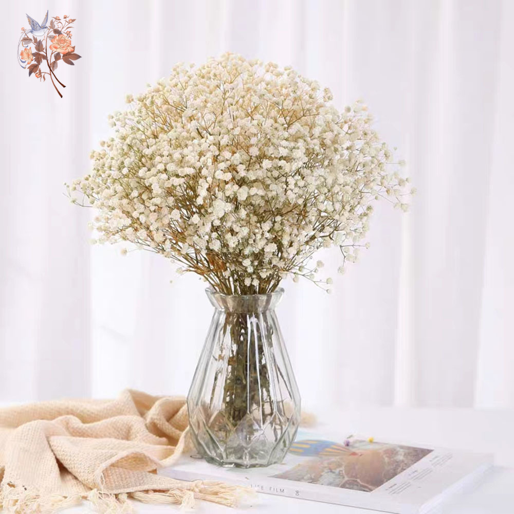 60g gedroogde babyadem bloembo - Dried Flower Bunch recensie en prijs