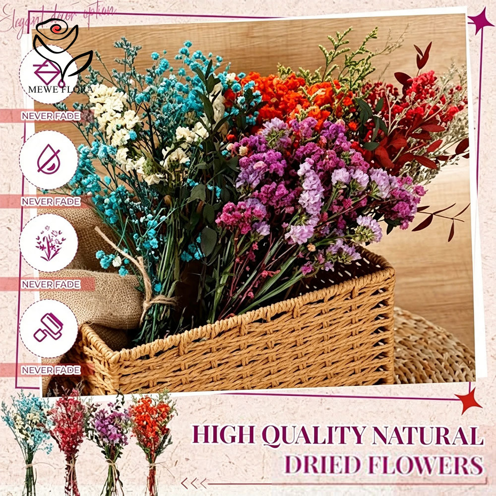 Kleurrijke gedroogde bloemen n - Baby Breath Dried recensie en prijs