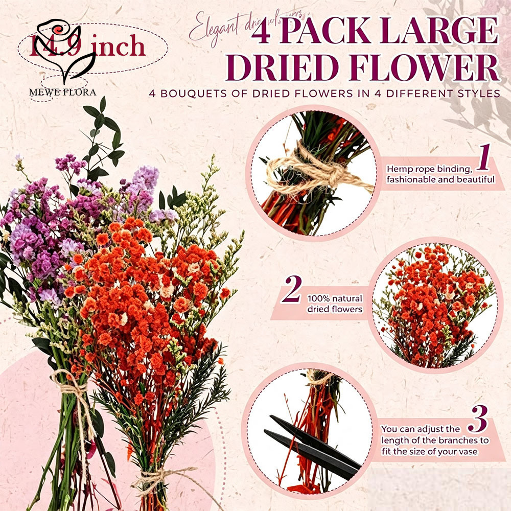 Kleurrijke gedroogde bloemen n - Baby Breath Dried recensie en prijs