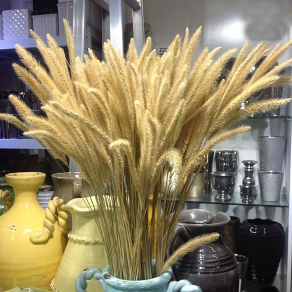 200 stks natuurlijke gedroogde - Dried Flower Bunch recensie en prijs
