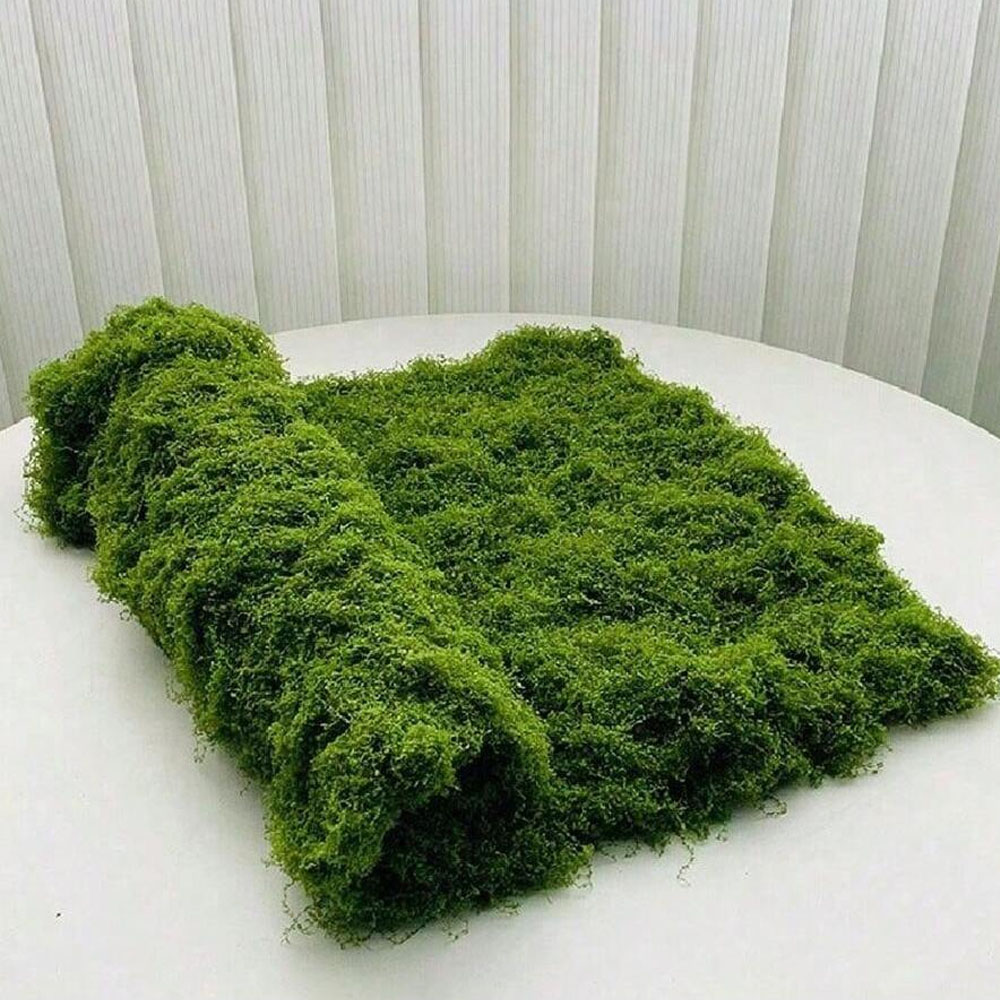 1*1m Nep Mos DIY Ambachten Gra - Preserved Moss Sheet recensie en prijs