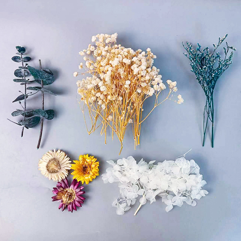 1pack Veelsoortige Gedroogde B - Dried Flower Bunch recensie en prijs