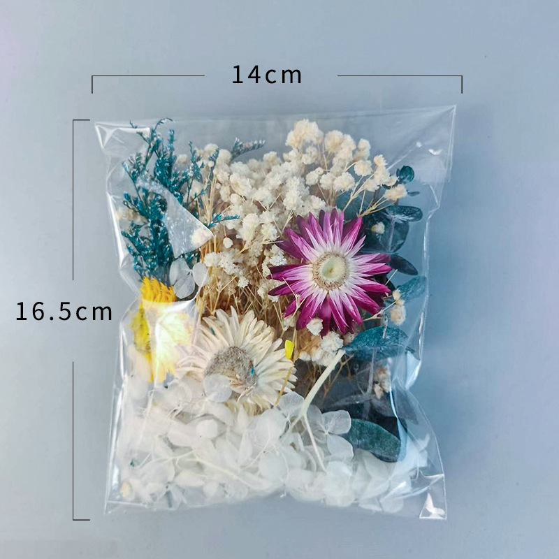 1pack Veelsoortige Gedroogde B - Dried Flower Bunch recensie en prijs