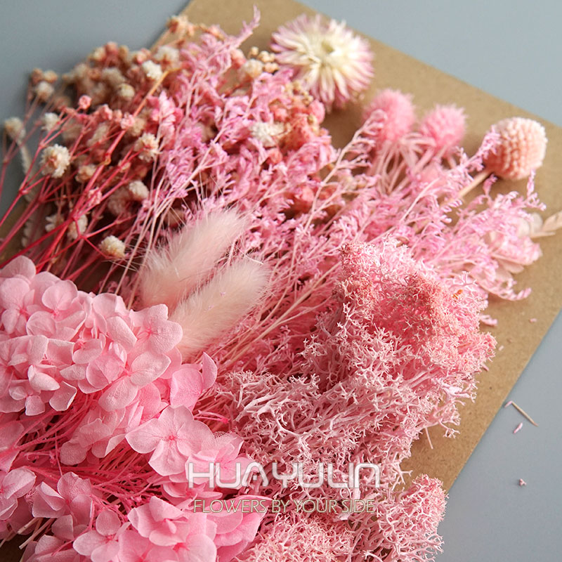 1-pack kunstplanten gedroogde  - Dried Flower Bunch recensie en prijs