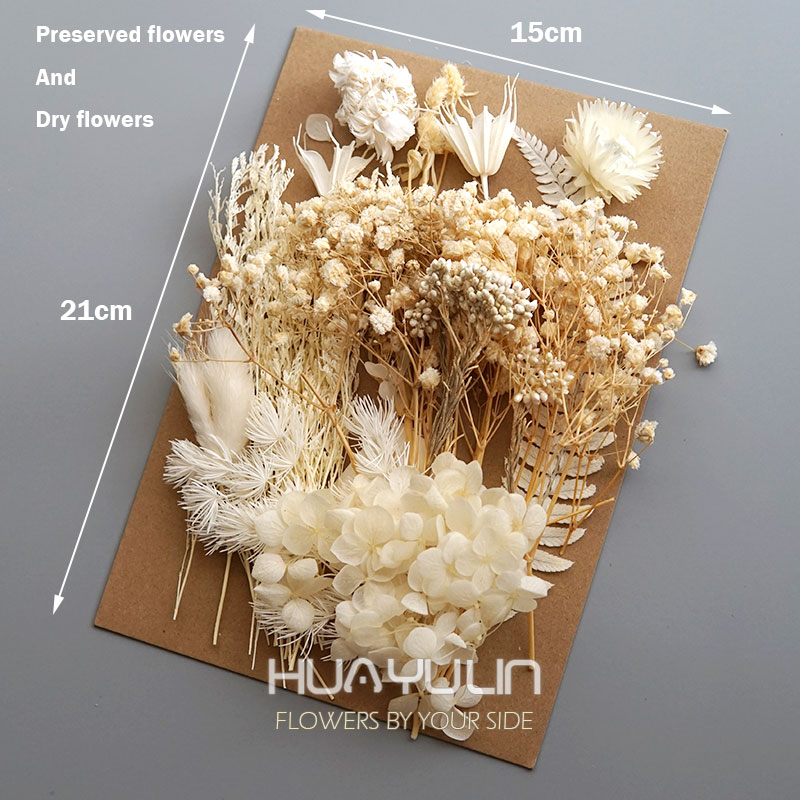 1-pack kunstplanten gedroogde  - Dried Flower Bunch recensie en prijs