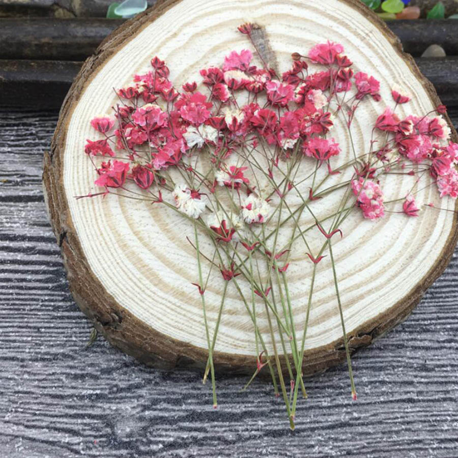 60 stuks gedroogde, geperste,  - Baby Breath Dried recensie en prijs