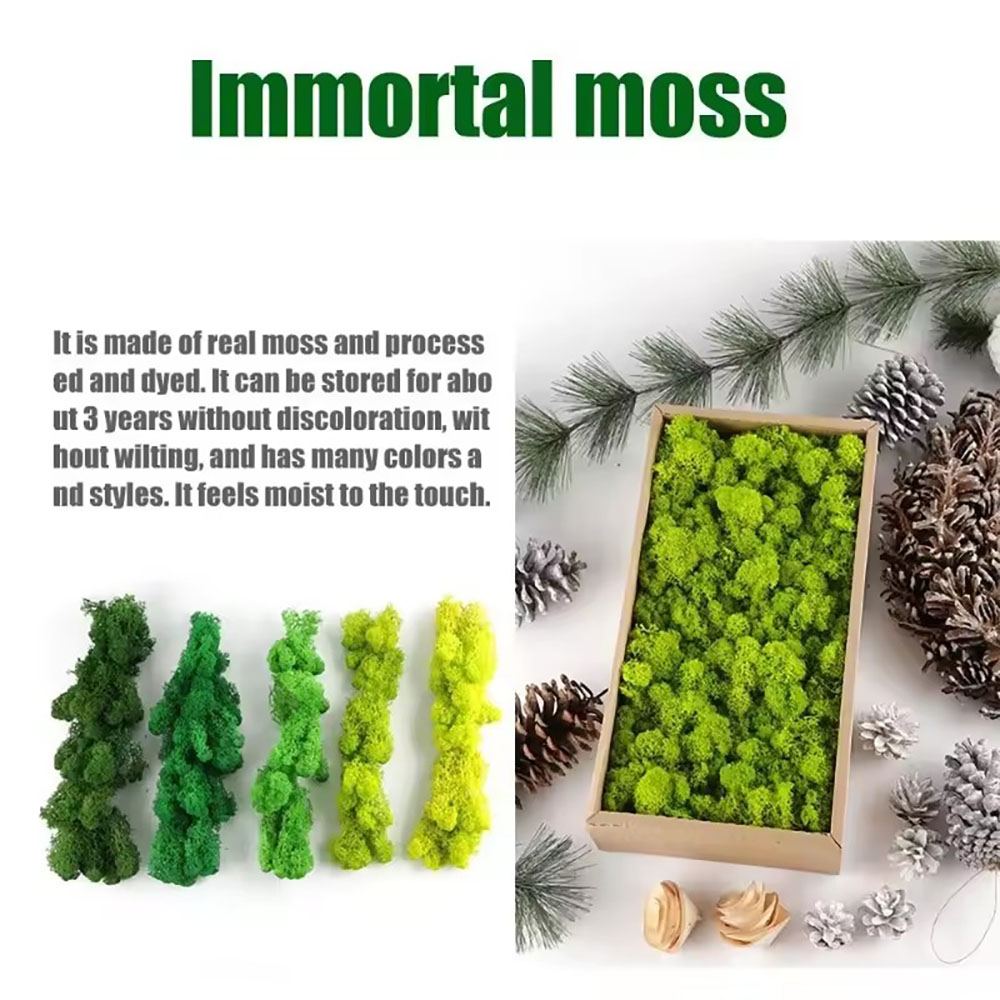 200/500g Eeuwig leven nepmos p - Preserved Moss Sheet recensie en prijs