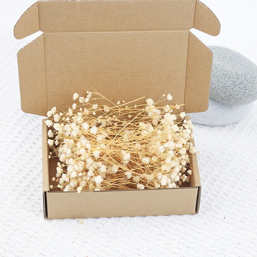 Gedroogde Baby's Breath Bloeme - Baby Breath Dried recensie en prijs
