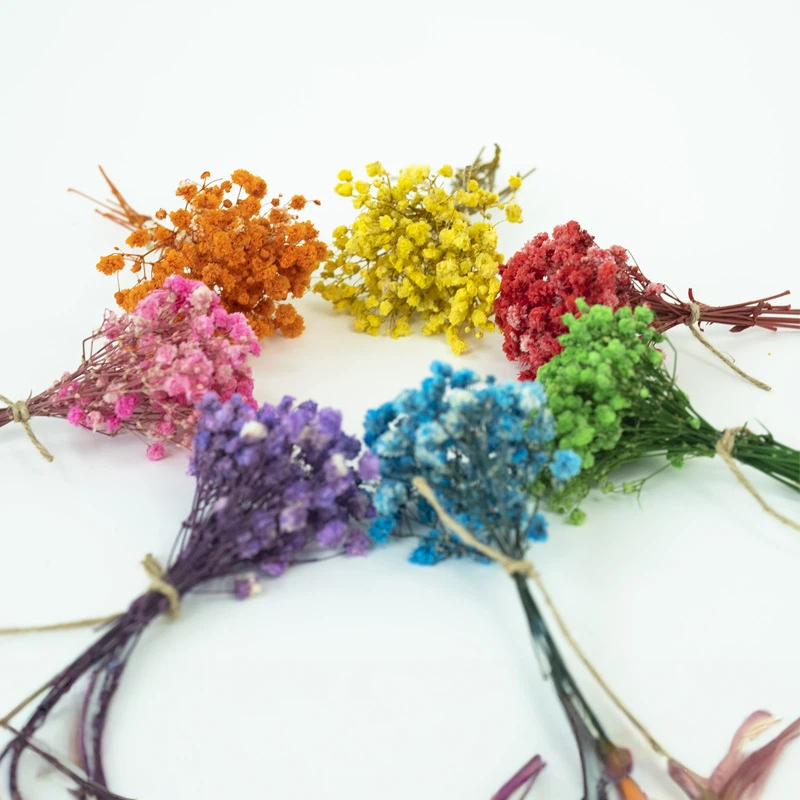 Gedroogde Baby's Breath Bloeme - Baby Breath Dried recensie en prijs