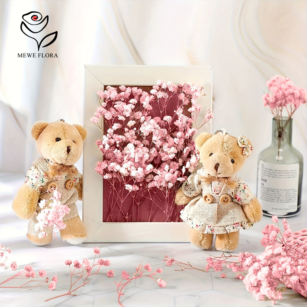 100% kleine tak gedroogde gips - Baby Breath Dried recensie en prijs