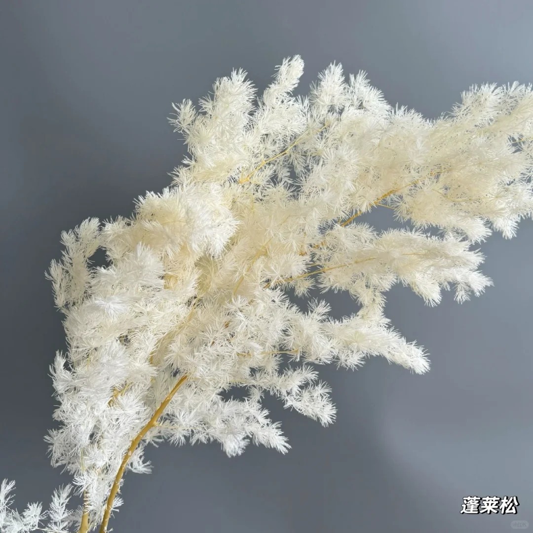 Ins-stijl zachte huisdecoratie - Baby Breath Dried recensie en prijs